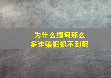 为什么缅甸那么多诈骗犯抓不到呢