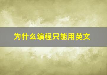 为什么编程只能用英文