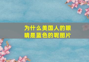 为什么美国人的眼睛是蓝色的呢图片