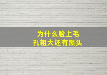 为什么脸上毛孔粗大还有黑头