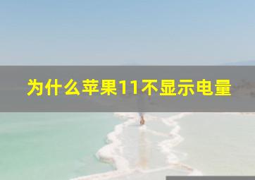 为什么苹果11不显示电量