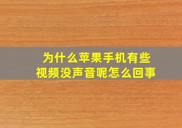 为什么苹果手机有些视频没声音呢怎么回事