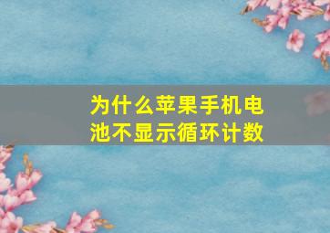 为什么苹果手机电池不显示循环计数