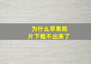 为什么苹果照片下载不出来了