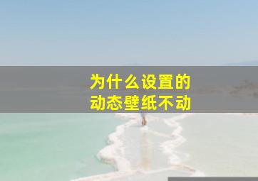 为什么设置的动态壁纸不动