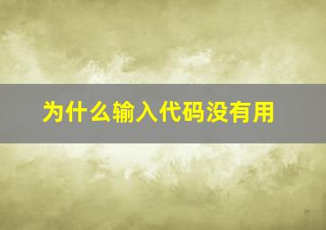 为什么输入代码没有用