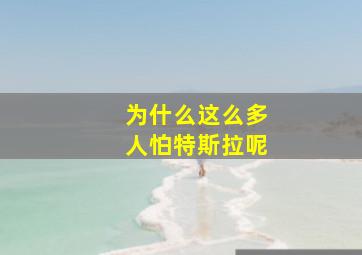 为什么这么多人怕特斯拉呢