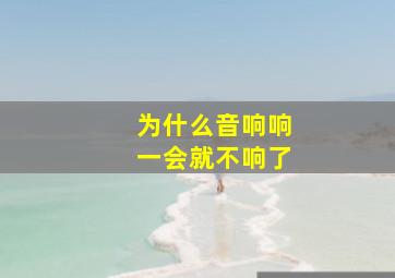 为什么音响响一会就不响了