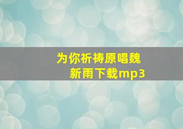 为你祈祷原唱魏新雨下载mp3