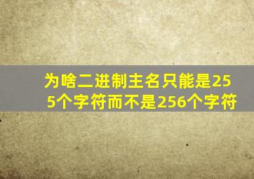 为啥二进制主名只能是255个字符而不是256个字符