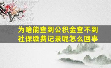 为啥能查到公积金查不到社保缴费记录呢怎么回事