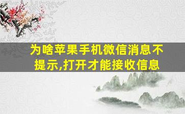 为啥苹果手机微信消息不提示,打开才能接收信息