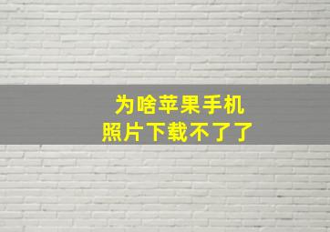 为啥苹果手机照片下载不了了