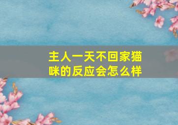 主人一天不回家猫咪的反应会怎么样