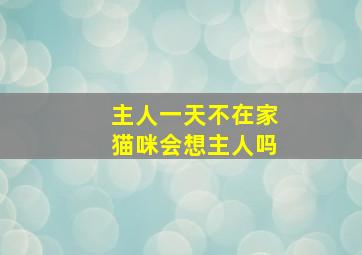 主人一天不在家猫咪会想主人吗