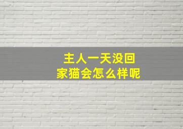 主人一天没回家猫会怎么样呢