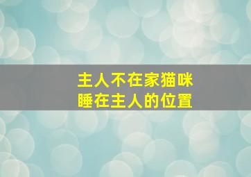 主人不在家猫咪睡在主人的位置