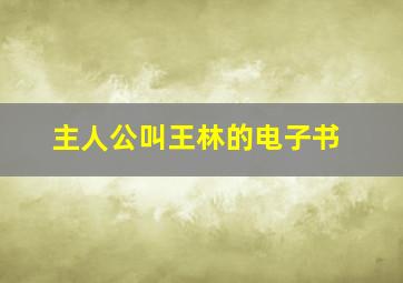 主人公叫王林的电子书