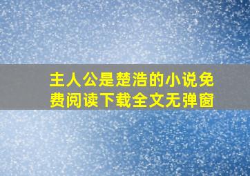 主人公是楚浩的小说免费阅读下载全文无弹窗