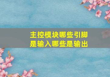 主控模块哪些引脚是输入哪些是输出