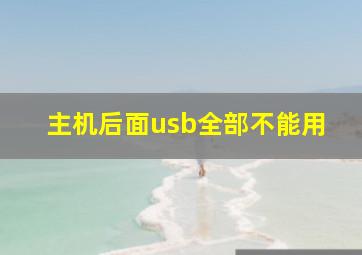 主机后面usb全部不能用