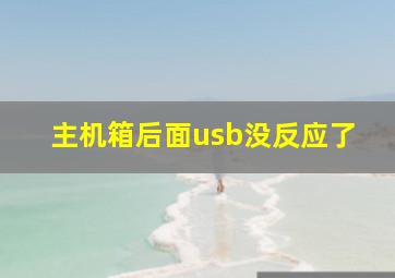 主机箱后面usb没反应了