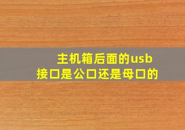 主机箱后面的usb接口是公口还是母口的