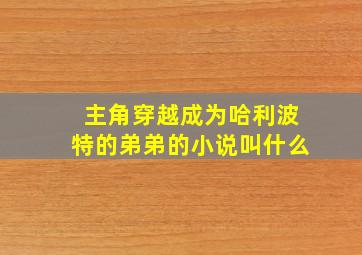 主角穿越成为哈利波特的弟弟的小说叫什么