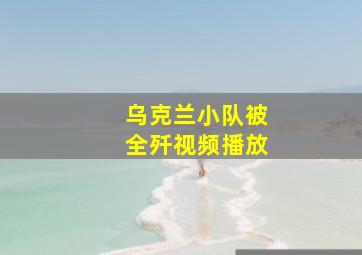 乌克兰小队被全歼视频播放