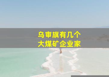 乌审旗有几个大煤矿企业家