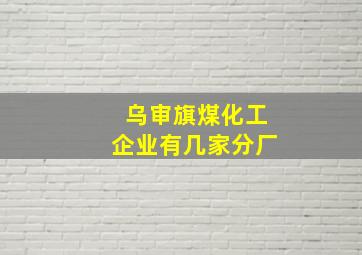 乌审旗煤化工企业有几家分厂