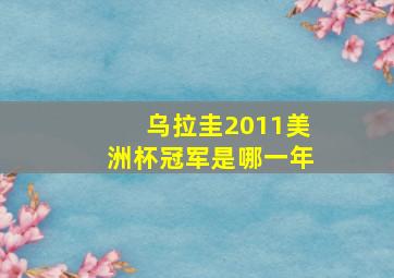 乌拉圭2011美洲杯冠军是哪一年