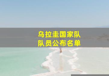 乌拉圭国家队队员公布名单