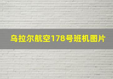 乌拉尔航空178号班机图片