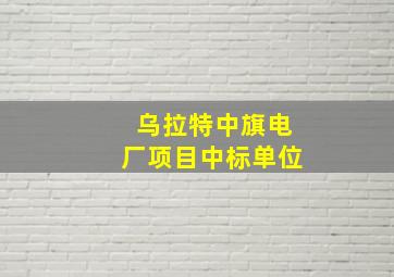 乌拉特中旗电厂项目中标单位