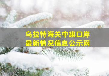 乌拉特海关中旗口岸最新情况信息公示网