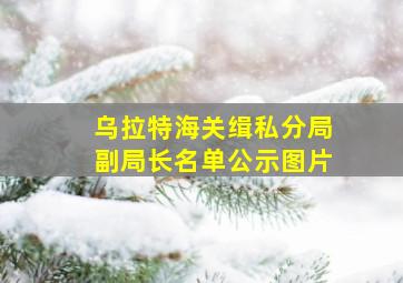 乌拉特海关缉私分局副局长名单公示图片