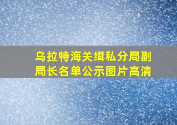 乌拉特海关缉私分局副局长名单公示图片高清