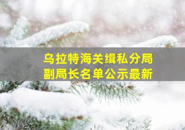 乌拉特海关缉私分局副局长名单公示最新