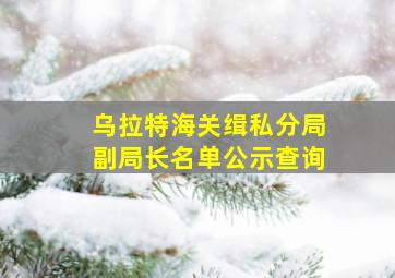 乌拉特海关缉私分局副局长名单公示查询