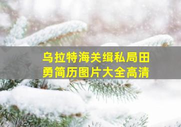 乌拉特海关缉私局田勇简历图片大全高清