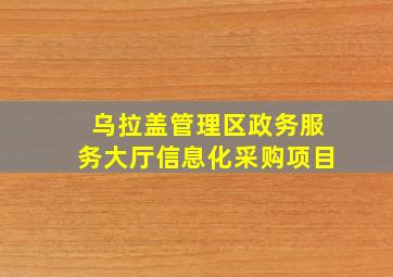 乌拉盖管理区政务服务大厅信息化采购项目