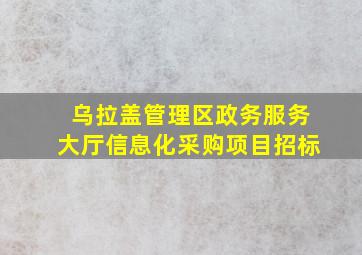 乌拉盖管理区政务服务大厅信息化采购项目招标