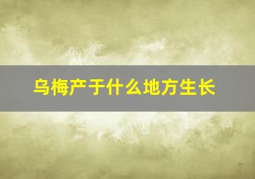 乌梅产于什么地方生长