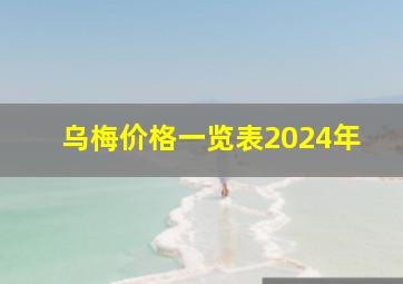 乌梅价格一览表2024年