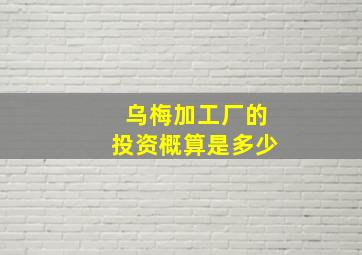 乌梅加工厂的投资概算是多少