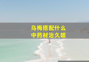 乌梅搭配什么中药材治久咳