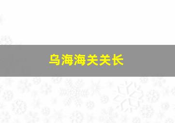 乌海海关关长