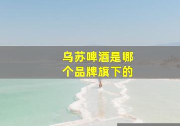 乌苏啤酒是哪个品牌旗下的