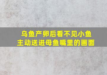 乌鱼产卵后看不见小鱼主动送进母鱼嘴里的画面